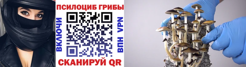 Псилоцибиновые грибы ЛСД  Себеж 